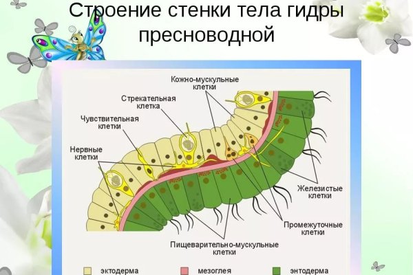 Доступ к kraken через vpn