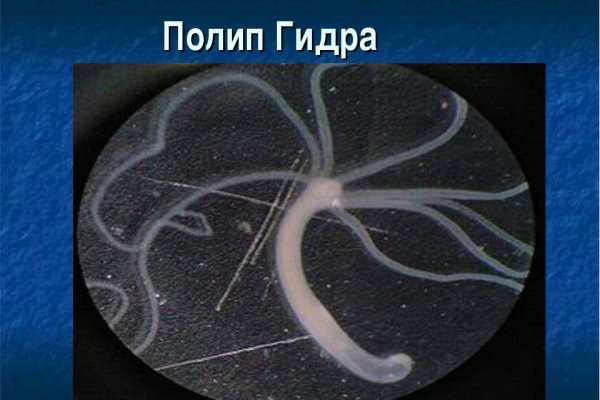 Кракен зеркало