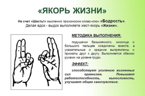 Кракен бошки