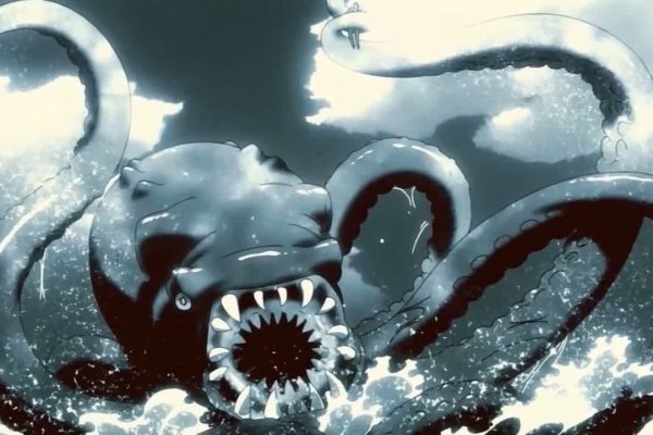 Kraken url