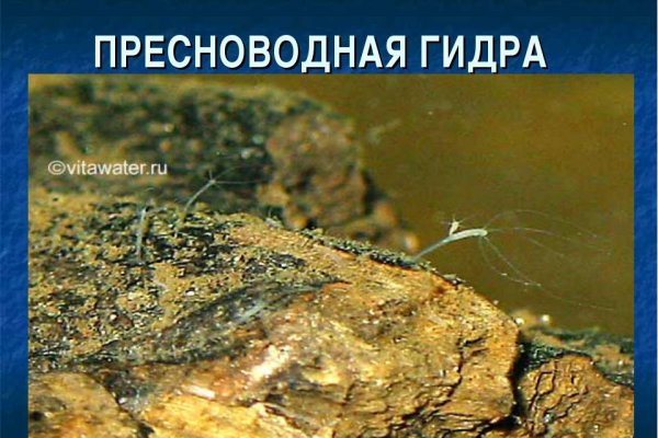 Не могу зайти на сайт кракен