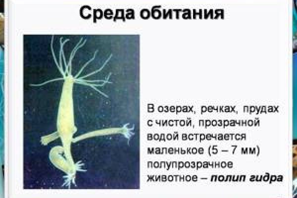Кракен даркнет плейс
