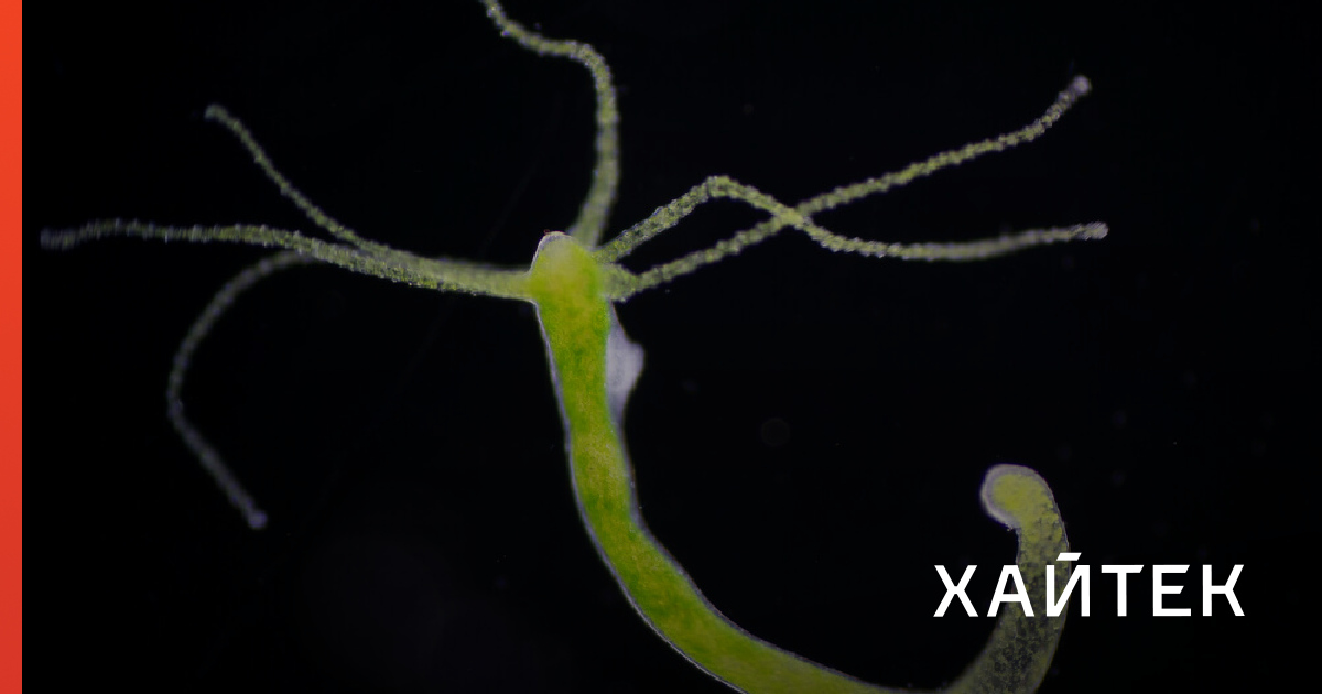Kraken ссылка onion 2kmp